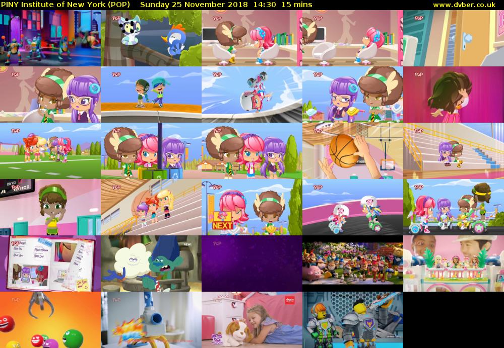 PINY Institute of New York (POP) Sunday 25 November 2018 14:30 - 14:45