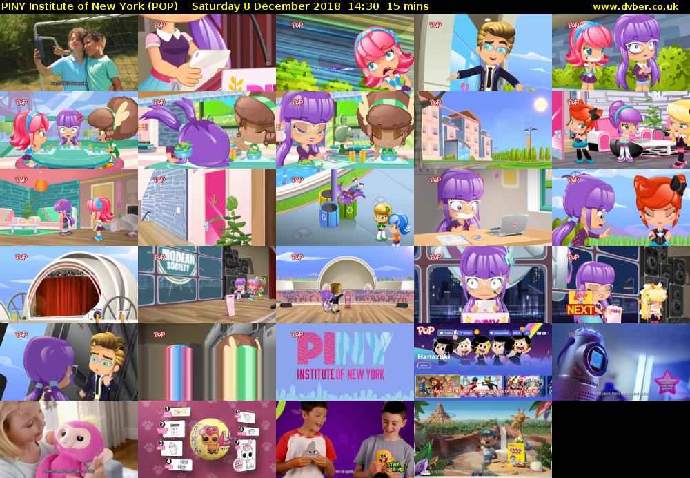 PINY Institute of New York (POP) Saturday 8 December 2018 14:30 - 14:45