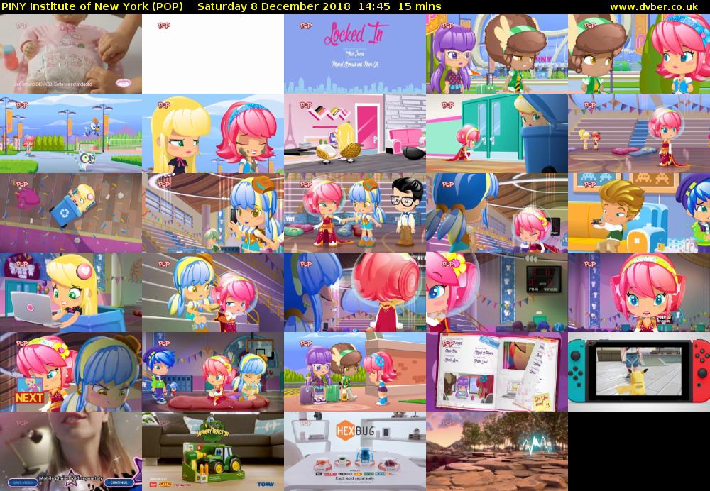 PINY Institute of New York (POP) Saturday 8 December 2018 14:45 - 15:00