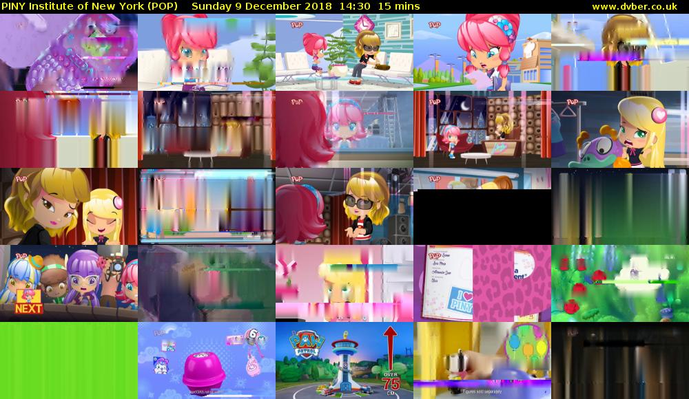 PINY Institute of New York (POP) Sunday 9 December 2018 14:30 - 14:45