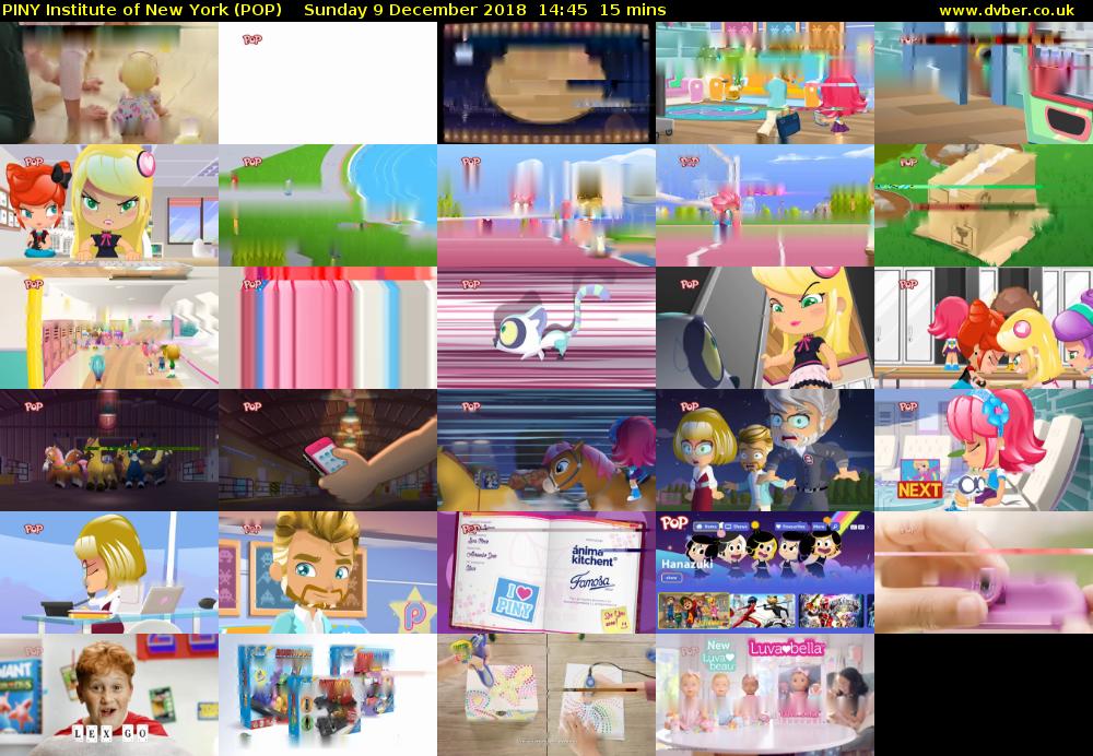 PINY Institute of New York (POP) Sunday 9 December 2018 14:45 - 15:00