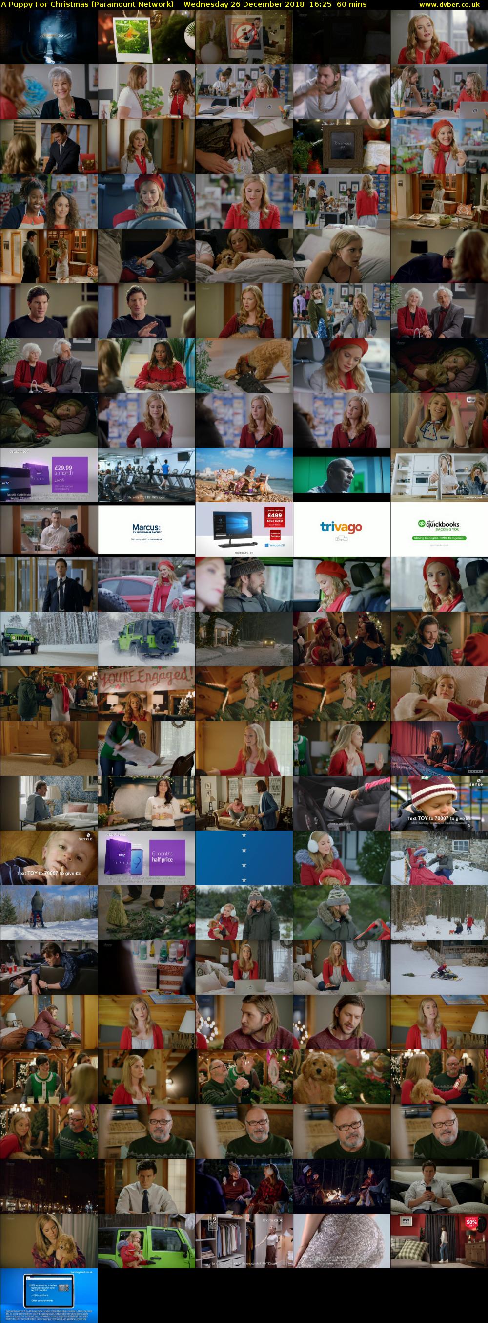 A Puppy For Christmas (Paramount Network) Wednesday 26 December 2018 16:25 - 17:25