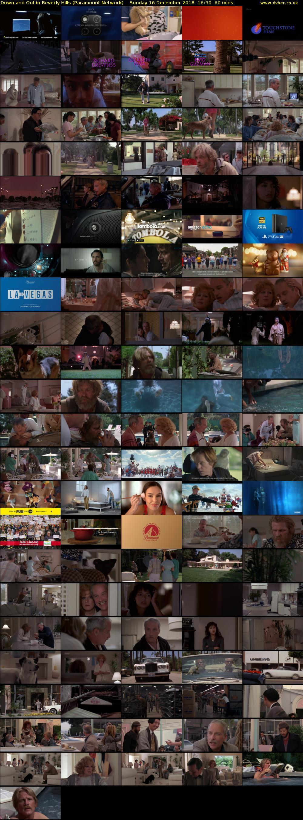 Down and Out in Beverly Hills (Paramount Network) Sunday 16 December 2018 16:50 - 17:50