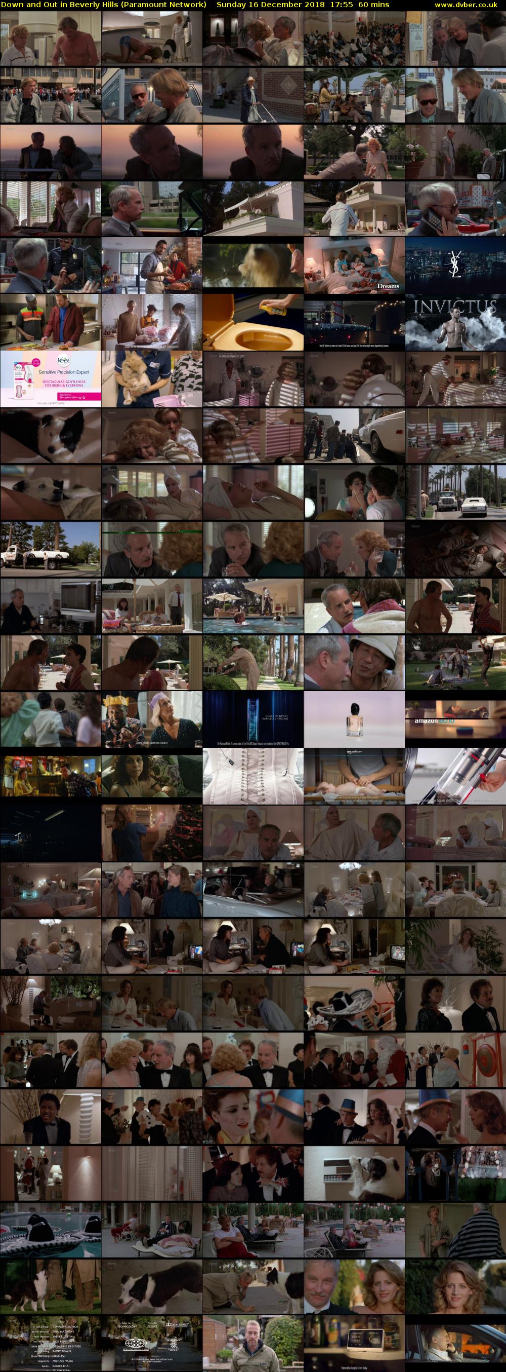 Down and Out in Beverly Hills (Paramount Network) Sunday 16 December 2018 17:55 - 18:55