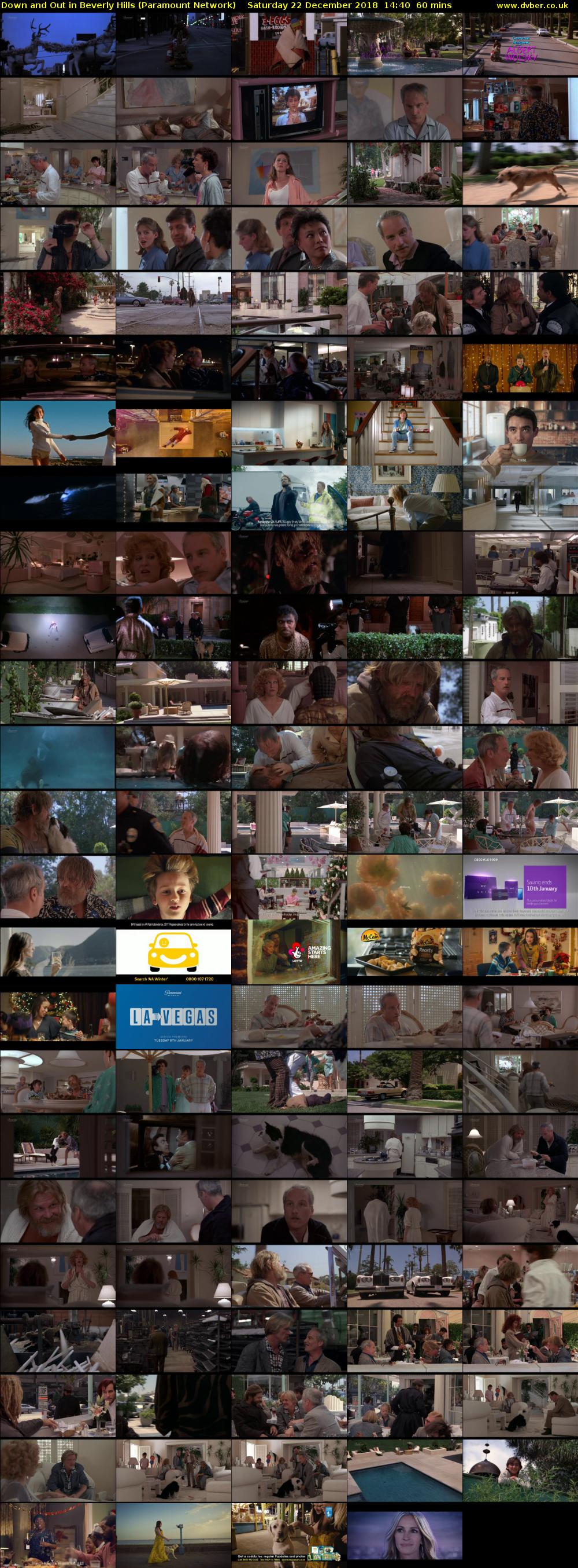 Down and Out in Beverly Hills (Paramount Network) Saturday 22 December 2018 14:40 - 15:40