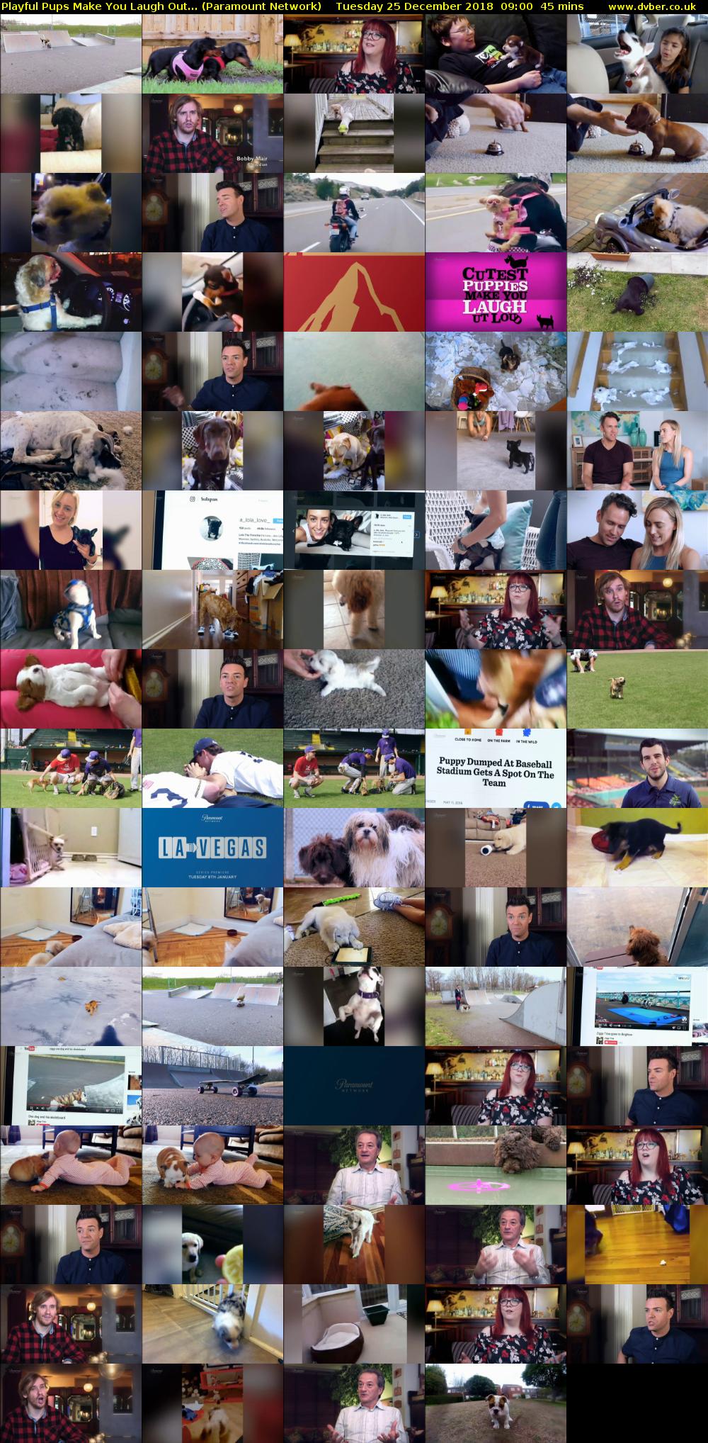 Playful Pups Make You Laugh Out... (Paramount Network) Tuesday 25 December 2018 09:00 - 09:45