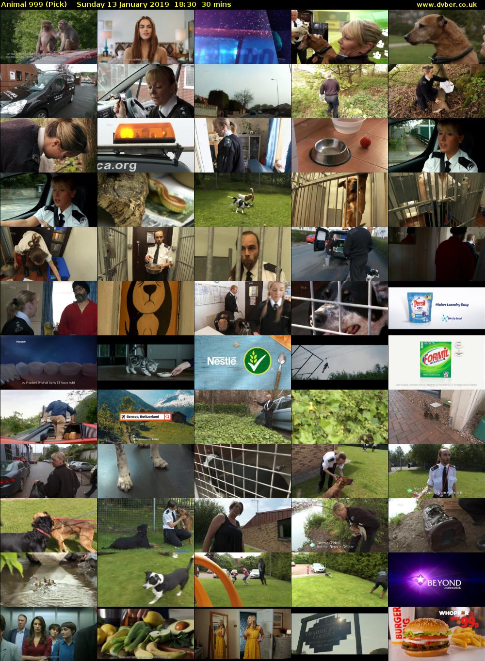 Animal 999 (Pick) Sunday 13 January 2019 18:30 - 19:00