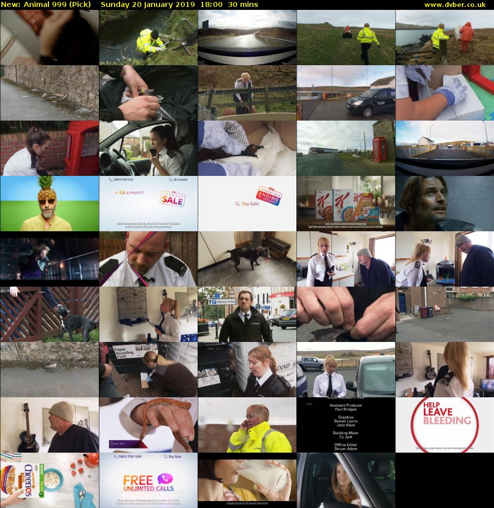 Animal 999 (Pick) Sunday 20 January 2019 18:00 - 18:30