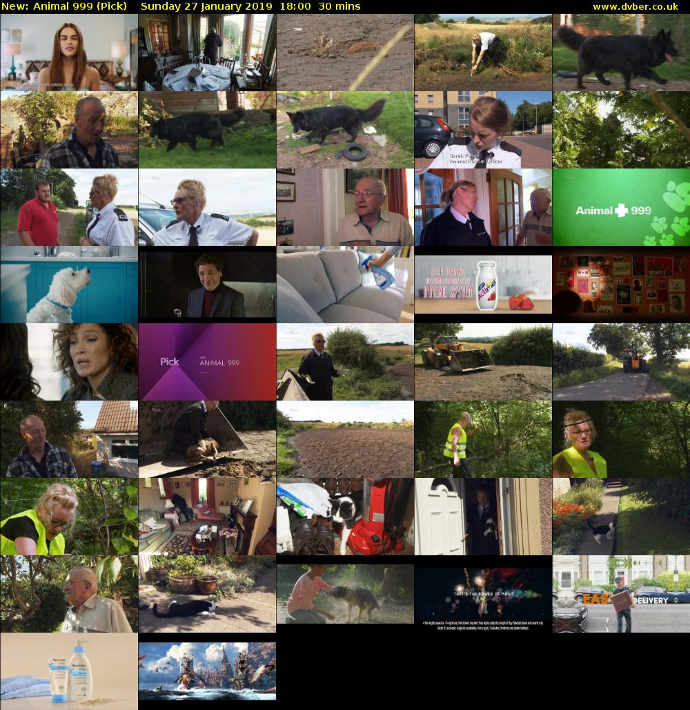 Animal 999 (Pick) Sunday 27 January 2019 18:00 - 18:30