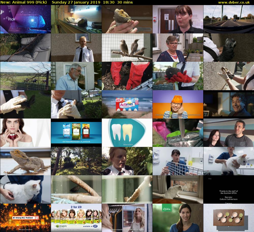 Animal 999 (Pick) Sunday 27 January 2019 18:30 - 19:00