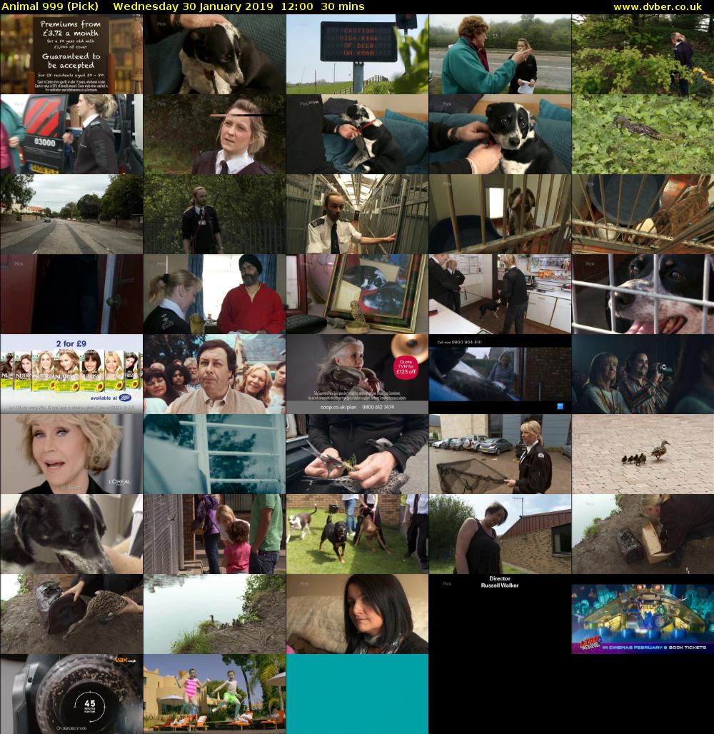 Animal 999 (Pick) Wednesday 30 January 2019 12:00 - 12:30