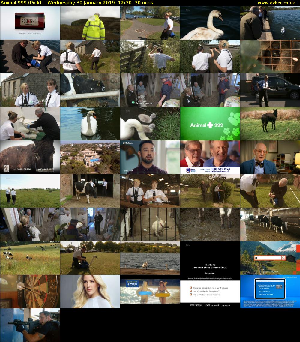 Animal 999 (Pick) Wednesday 30 January 2019 12:30 - 13:00