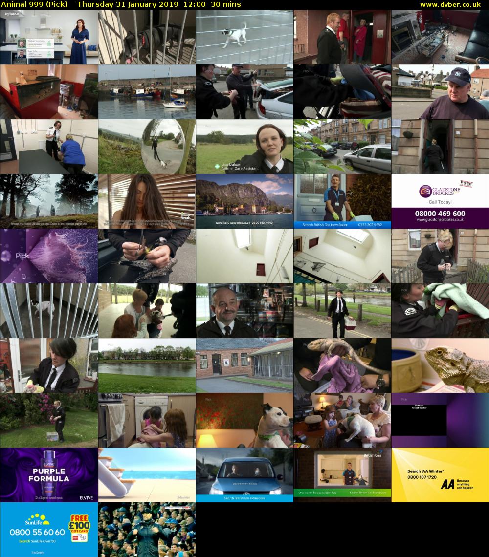 Animal 999 (Pick) Thursday 31 January 2019 12:00 - 12:30