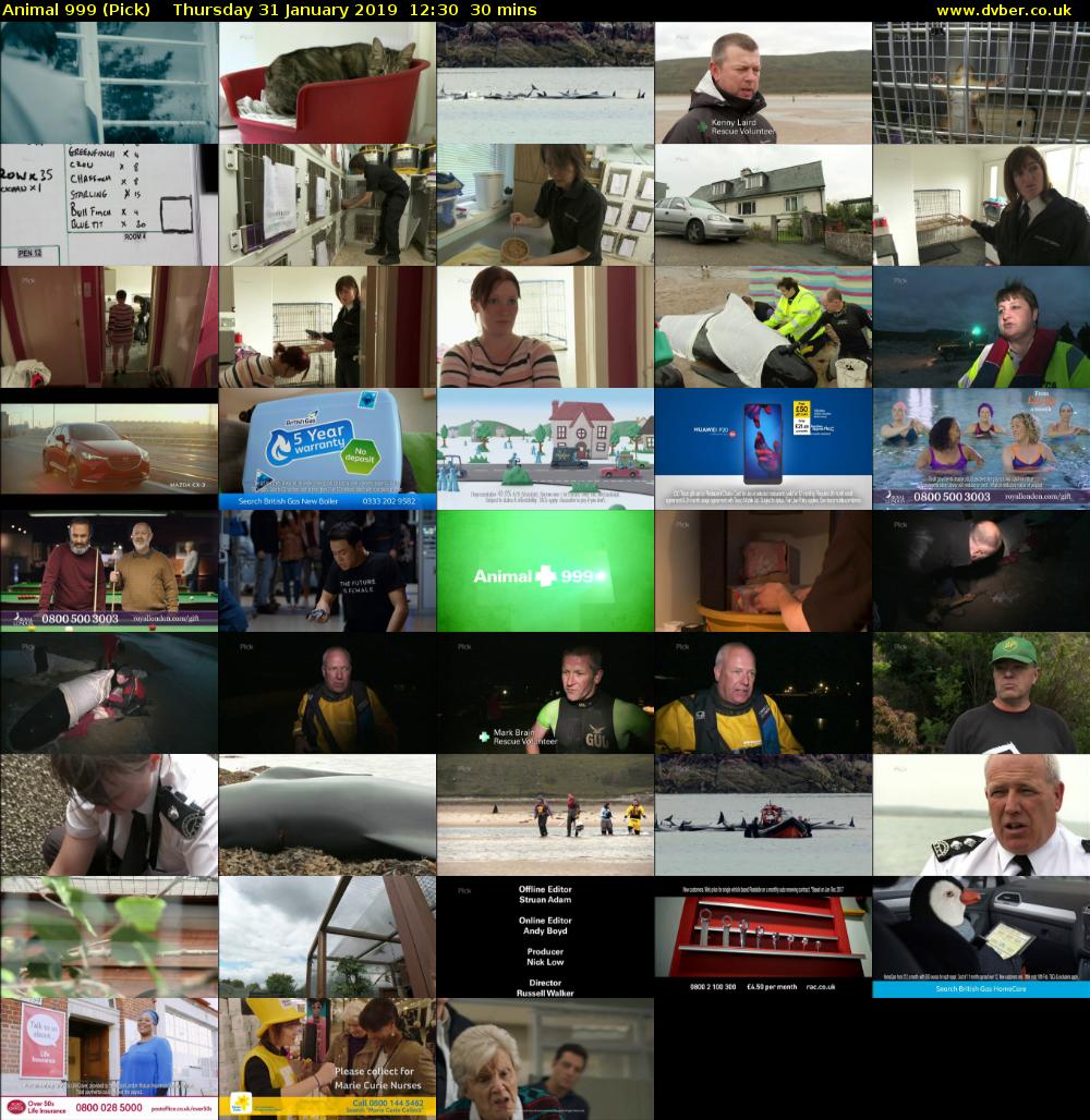 Animal 999 (Pick) Thursday 31 January 2019 12:30 - 13:00