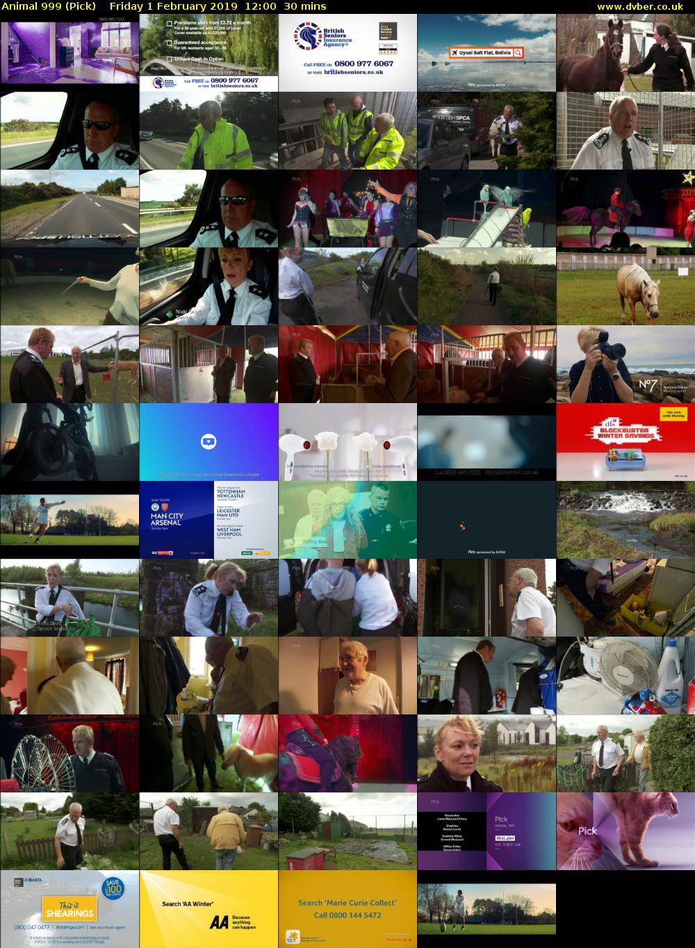 Animal 999 (Pick) Friday 1 February 2019 12:00 - 12:30