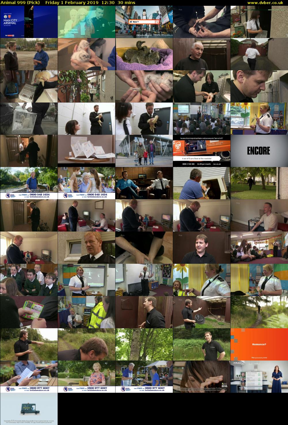 Animal 999 (Pick) Friday 1 February 2019 12:30 - 13:00