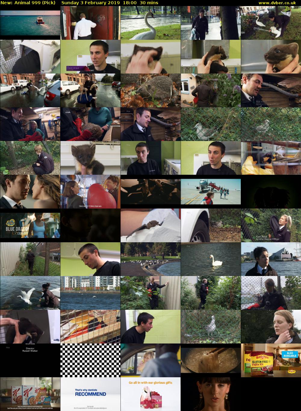 Animal 999 (Pick) Sunday 3 February 2019 18:00 - 18:30