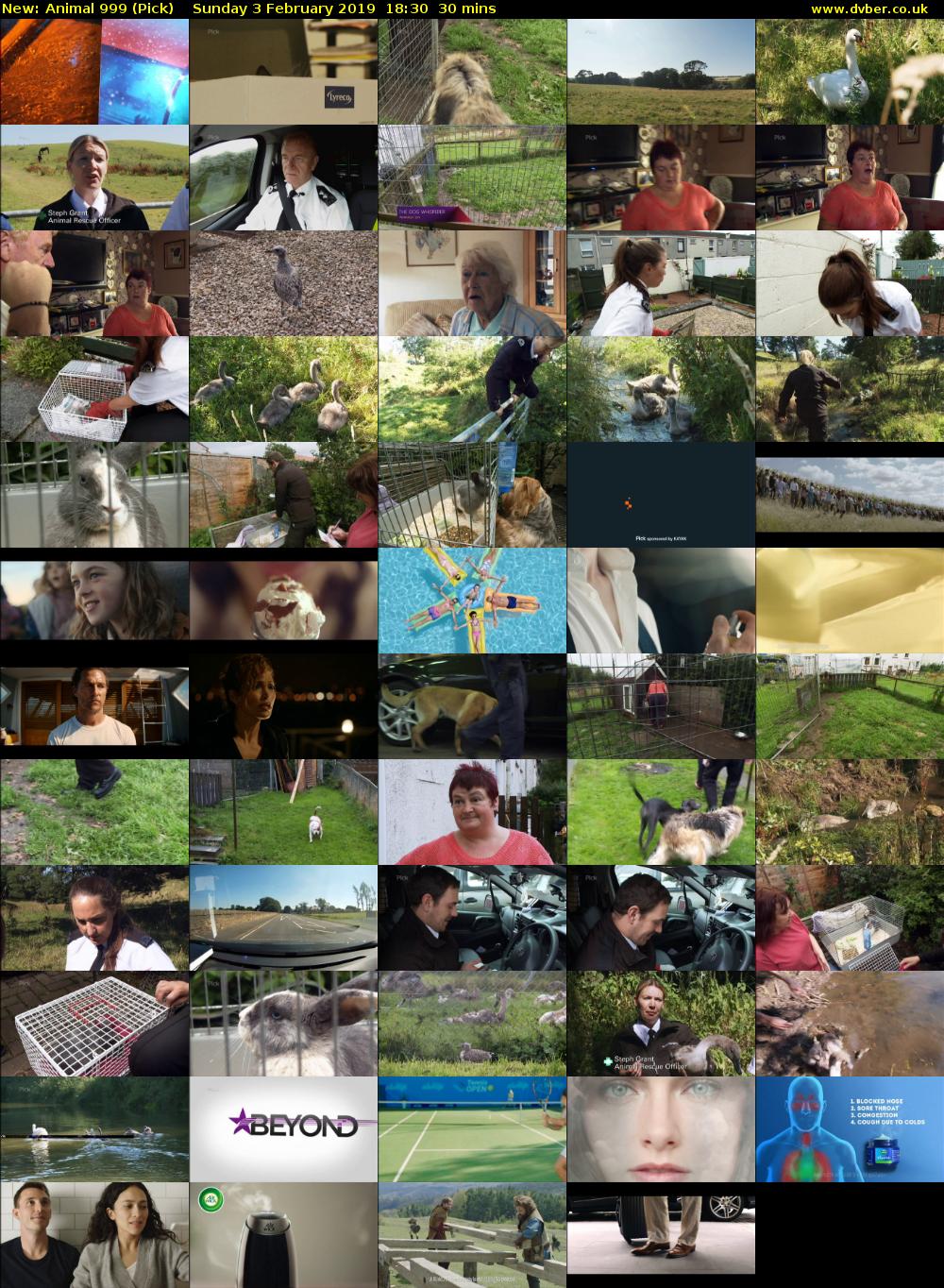 Animal 999 (Pick) Sunday 3 February 2019 18:30 - 19:00