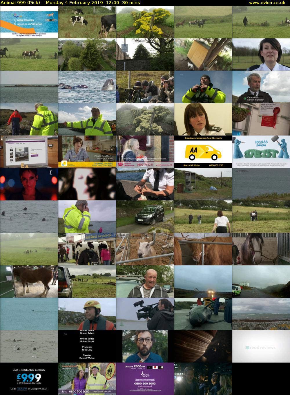 Animal 999 (Pick) Monday 4 February 2019 12:00 - 12:30