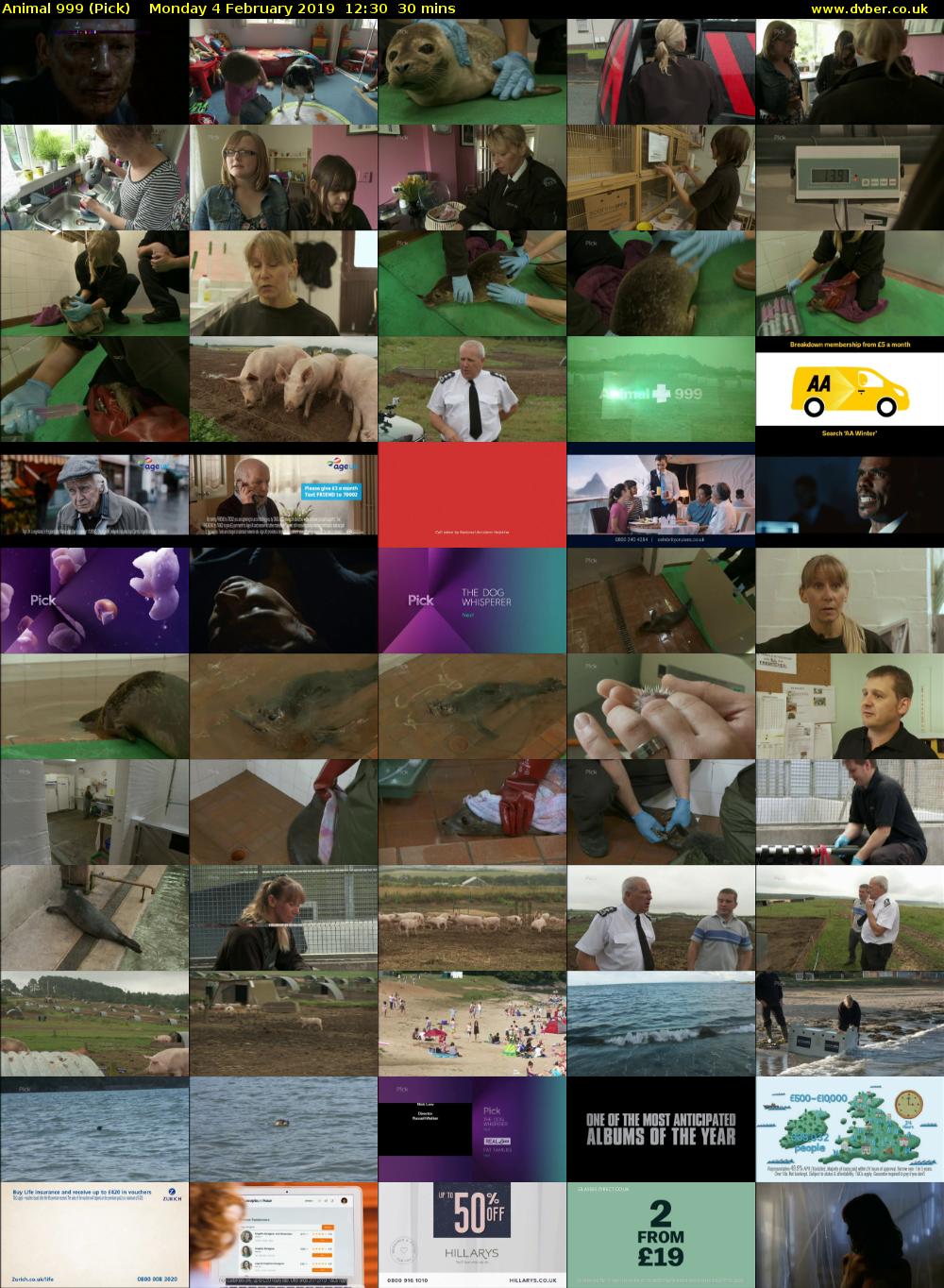 Animal 999 (Pick) Monday 4 February 2019 12:30 - 13:00