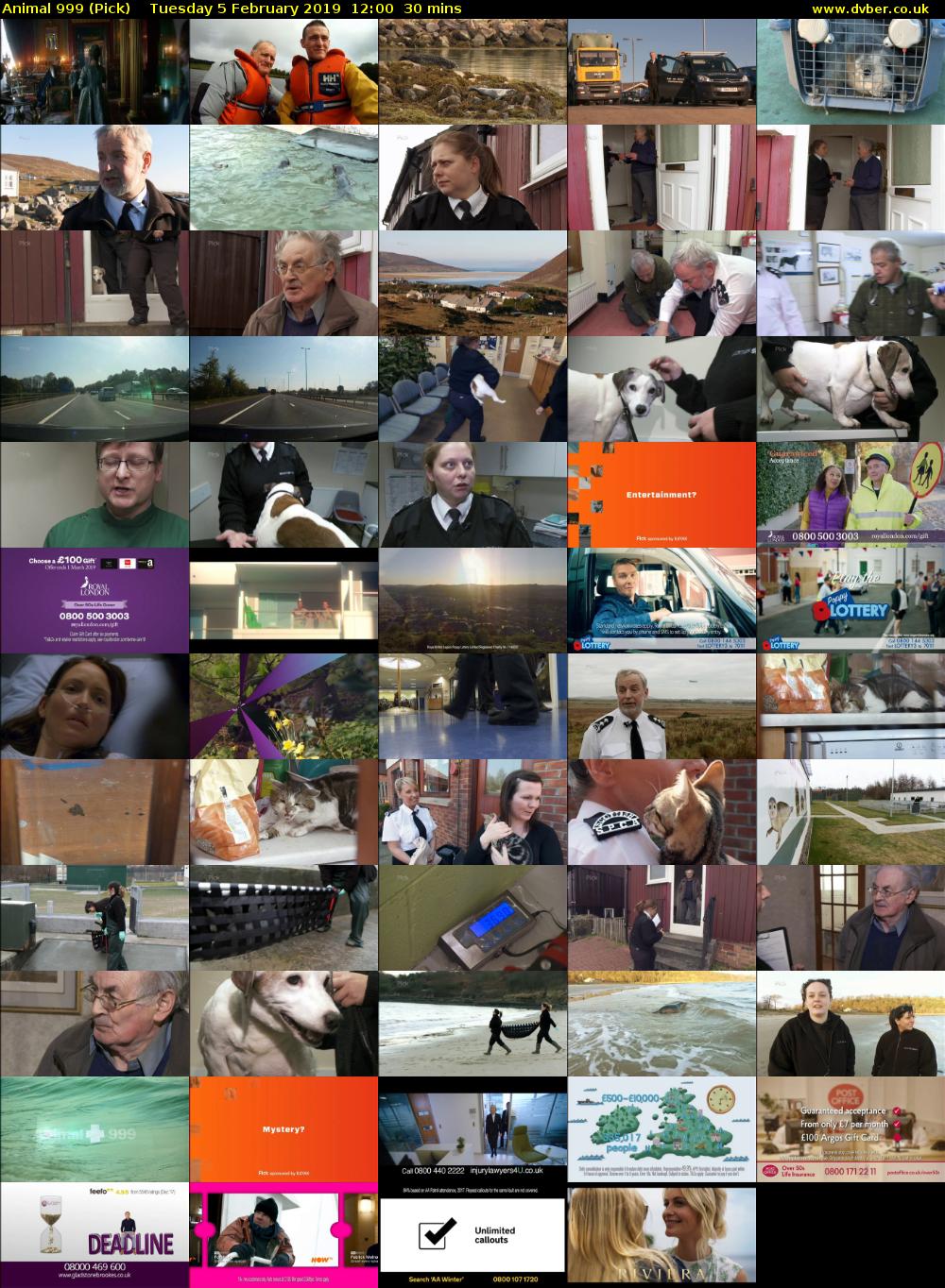 Animal 999 (Pick) Tuesday 5 February 2019 12:00 - 12:30