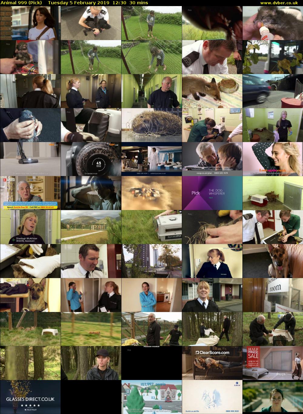 Animal 999 (Pick) Tuesday 5 February 2019 12:30 - 13:00