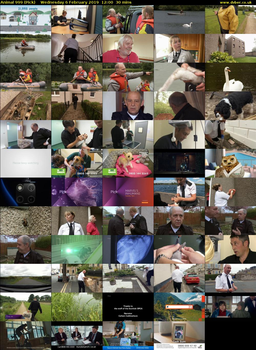 Animal 999 (Pick) Wednesday 6 February 2019 12:00 - 12:30