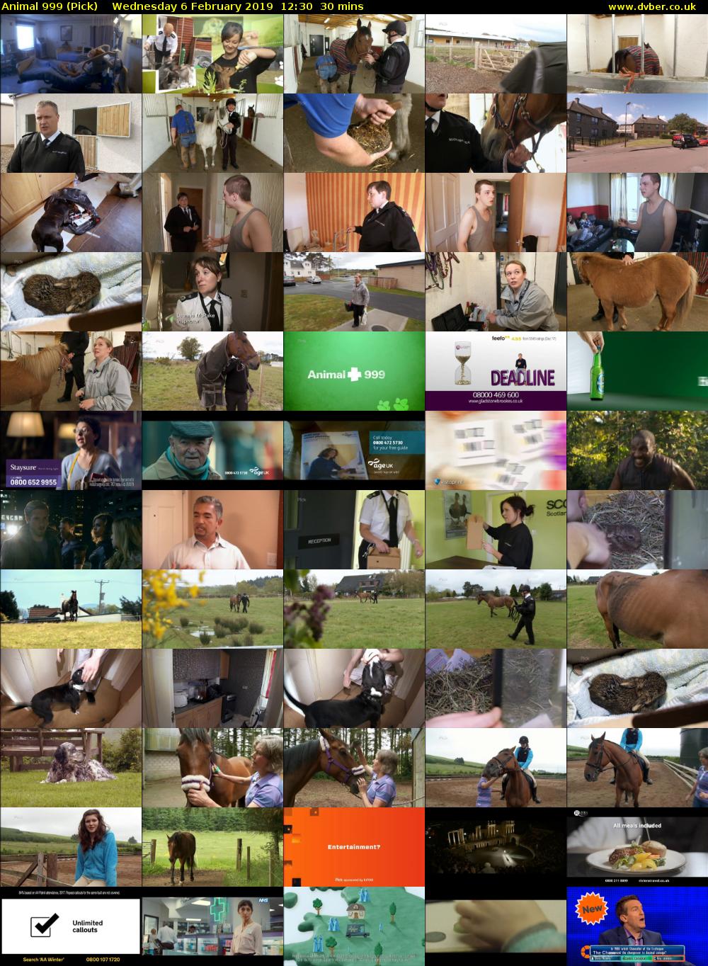 Animal 999 (Pick) Wednesday 6 February 2019 12:30 - 13:00