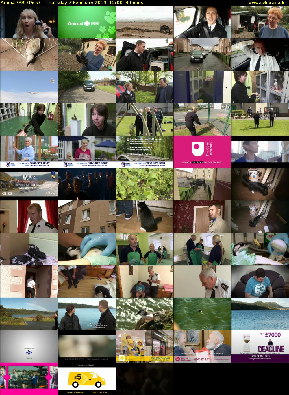 Animal 999 (Pick) Thursday 7 February 2019 12:00 - 12:30