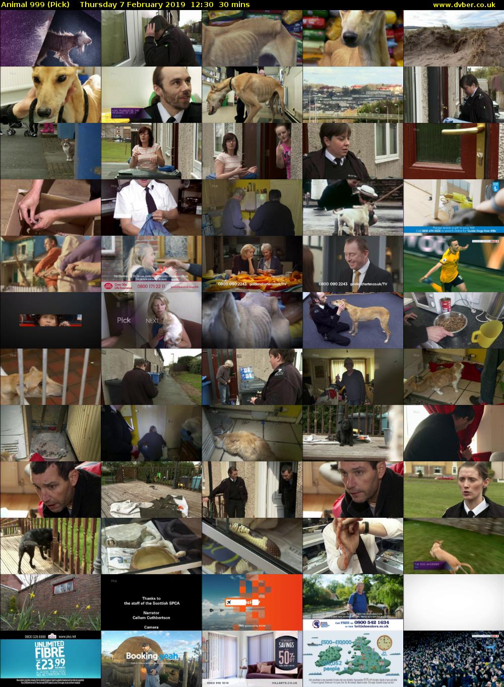 Animal 999 (Pick) Thursday 7 February 2019 12:30 - 13:00