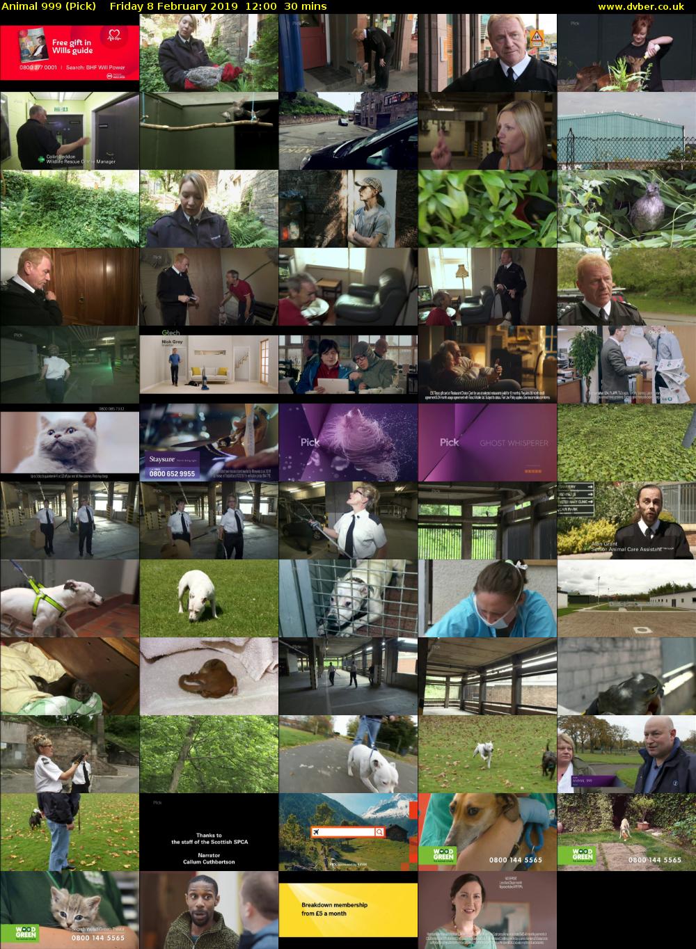 Animal 999 (Pick) Friday 8 February 2019 12:00 - 12:30