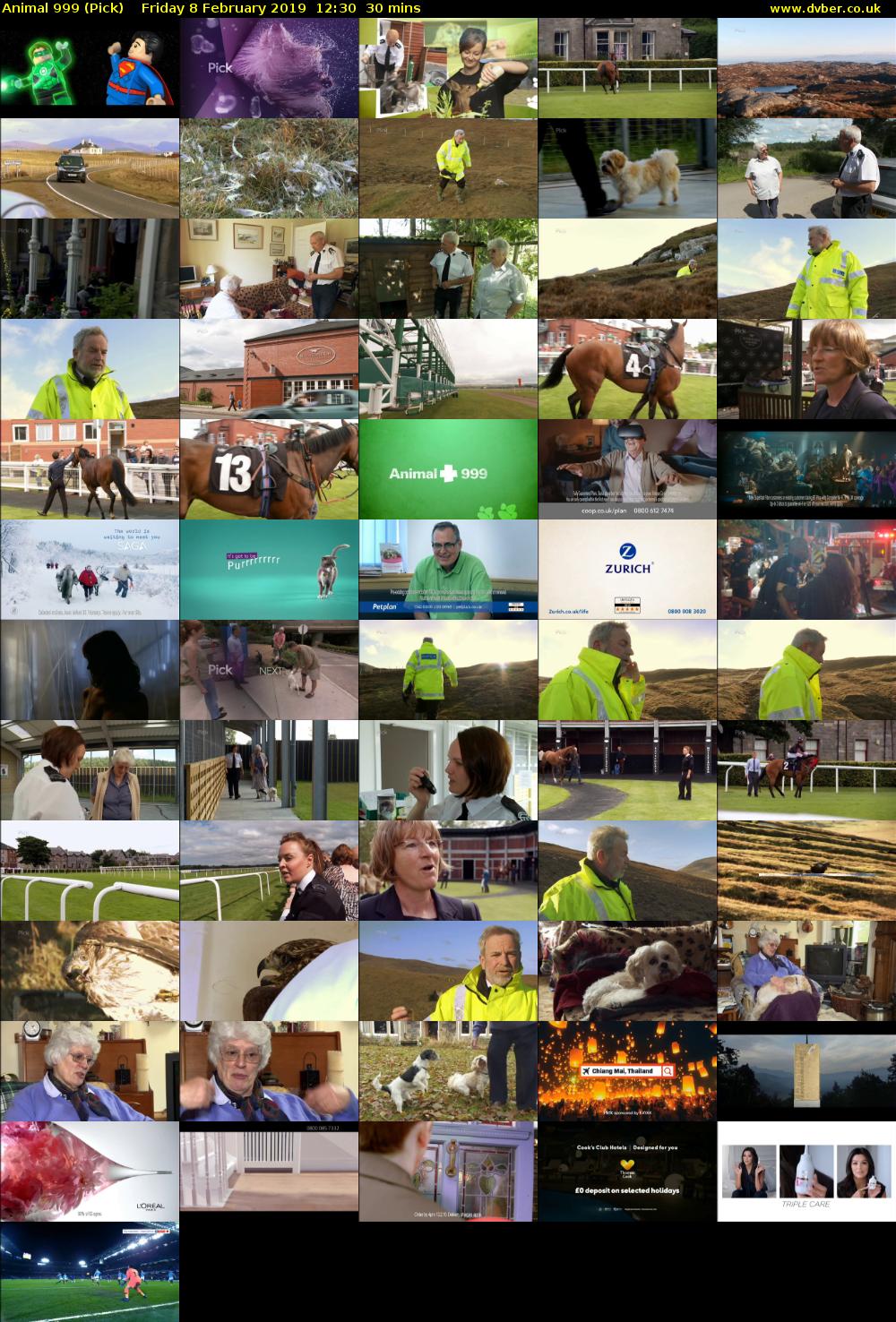 Animal 999 (Pick) Friday 8 February 2019 12:30 - 13:00