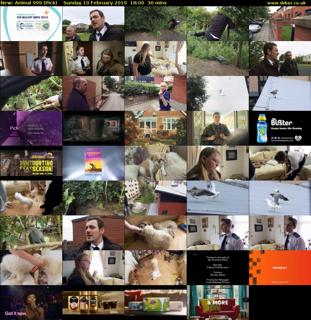 Animal 999 (Pick) Sunday 10 February 2019 18:00 - 18:30