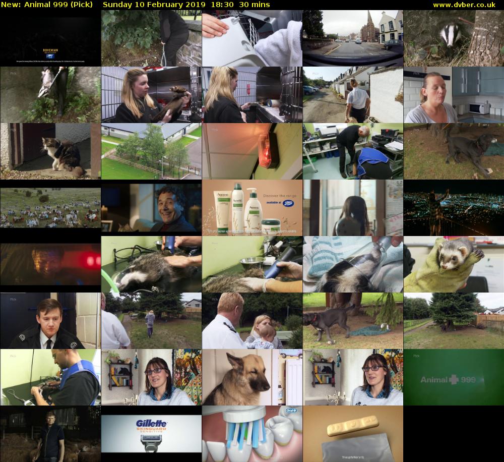 Animal 999 (Pick) Sunday 10 February 2019 18:30 - 19:00