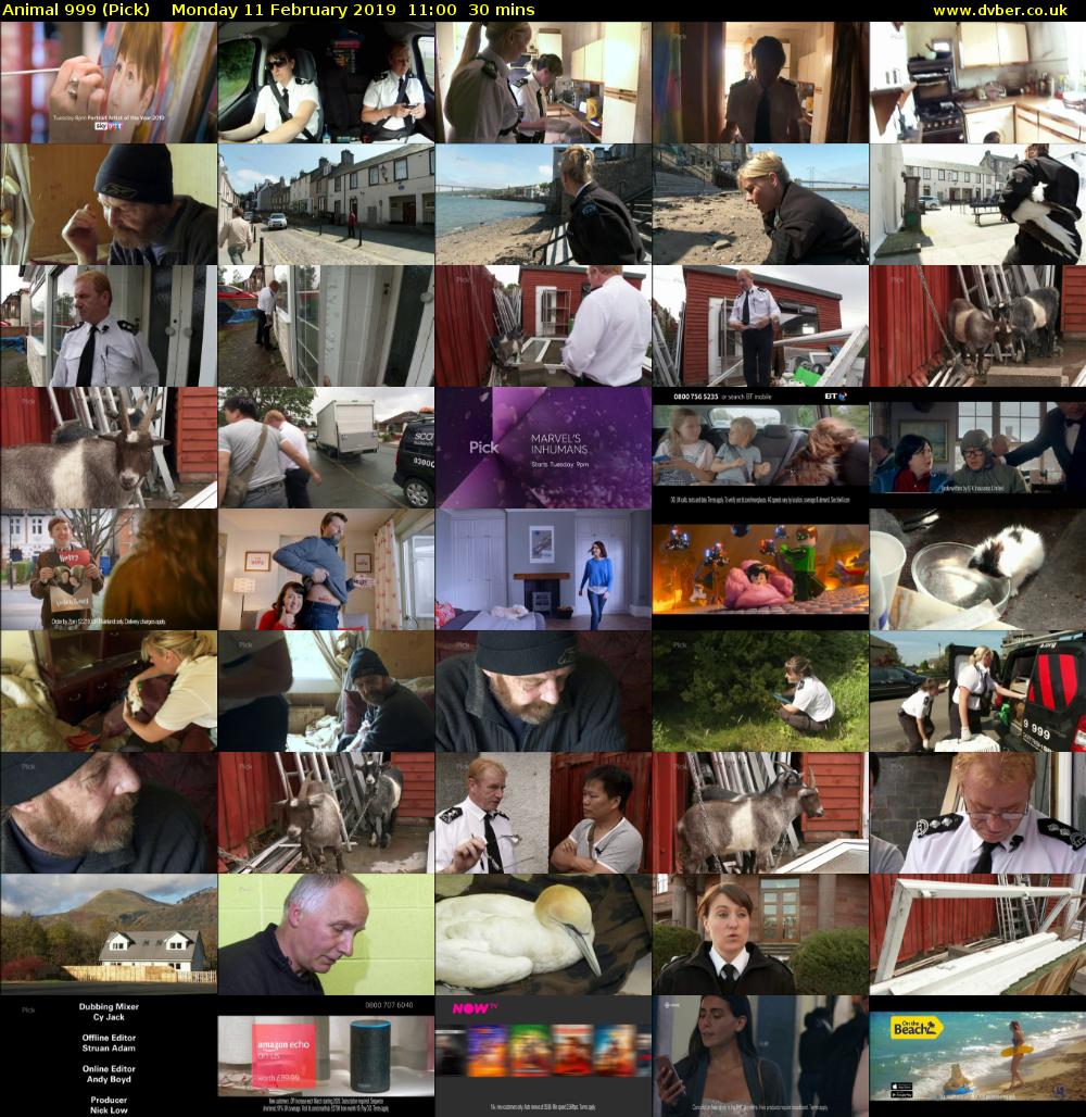 Animal 999 (Pick) Monday 11 February 2019 11:00 - 11:30
