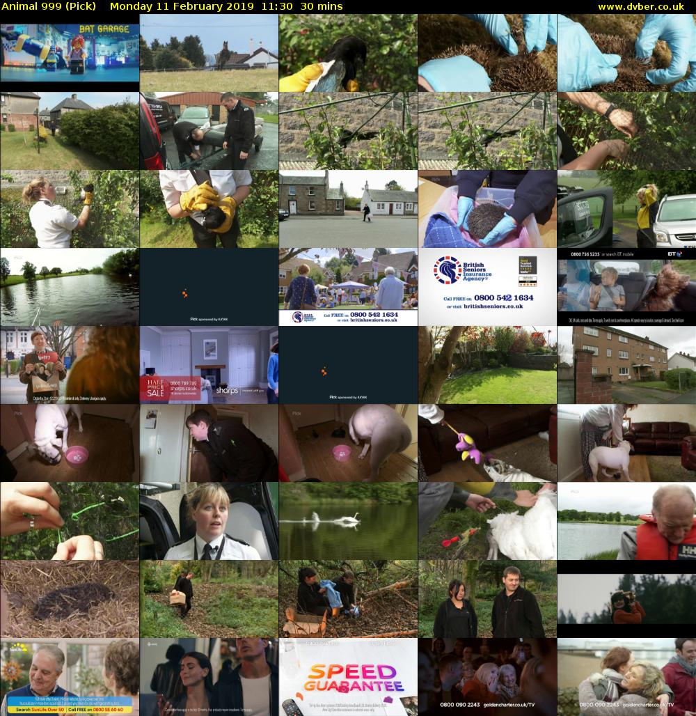 Animal 999 (Pick) Monday 11 February 2019 11:30 - 12:00