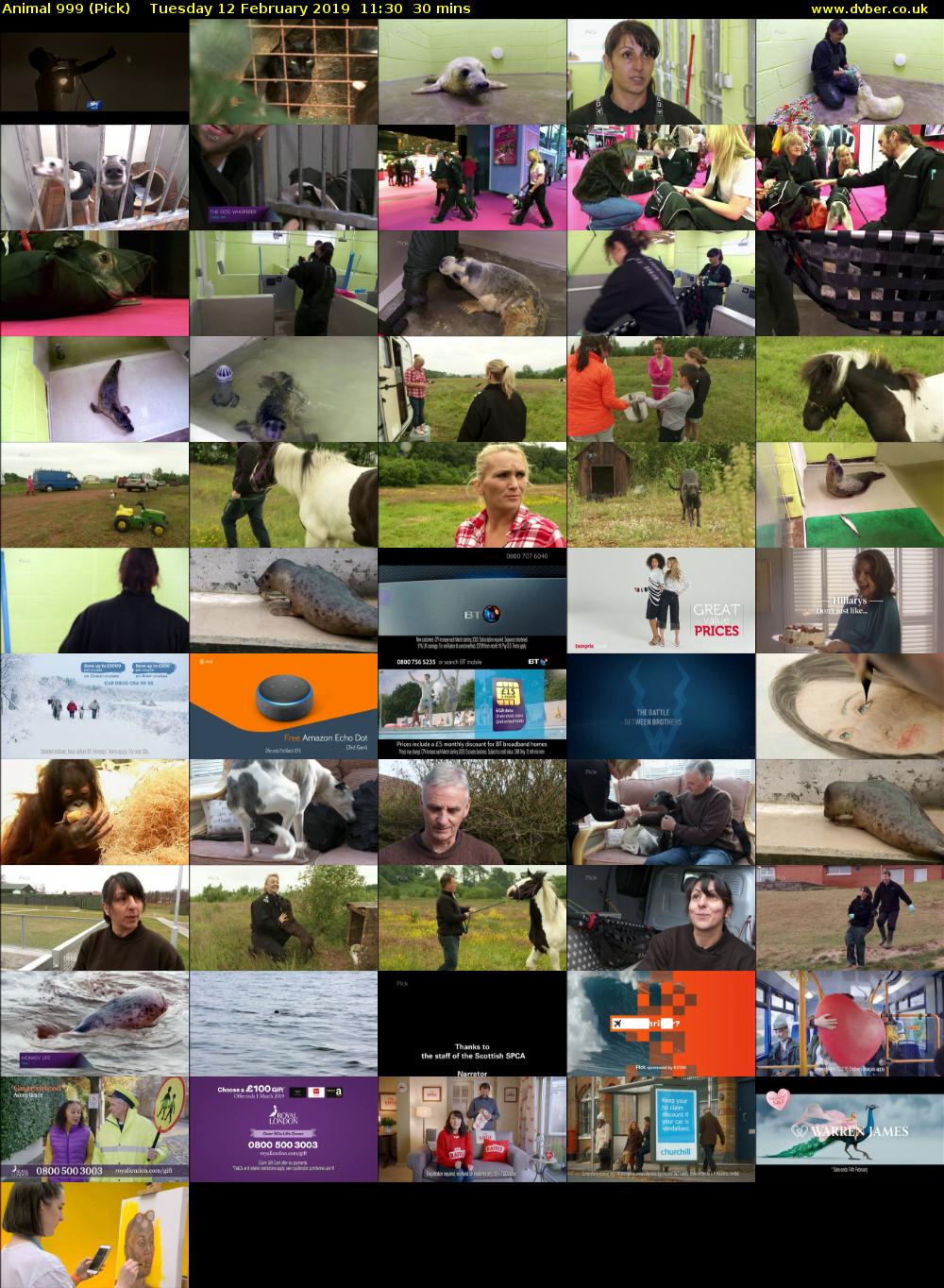 Animal 999 (Pick) Tuesday 12 February 2019 11:30 - 12:00