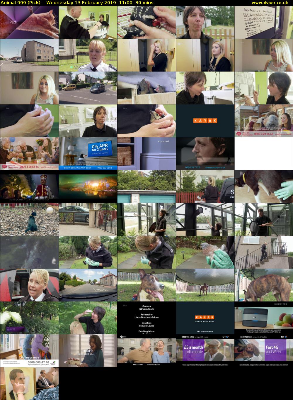 Animal 999 (Pick) Wednesday 13 February 2019 11:00 - 11:30