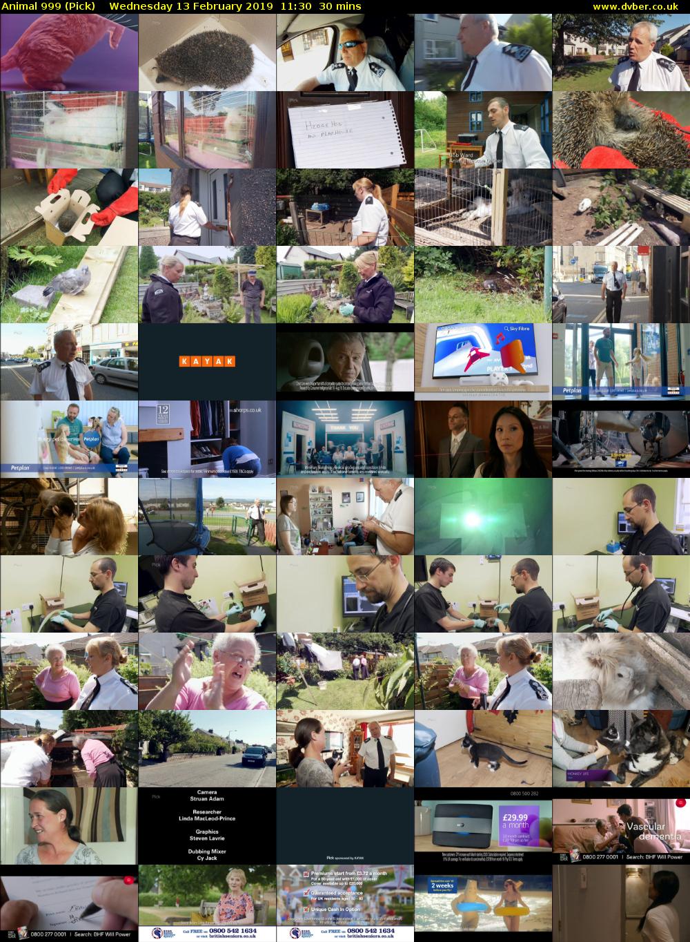 Animal 999 (Pick) Wednesday 13 February 2019 11:30 - 12:00