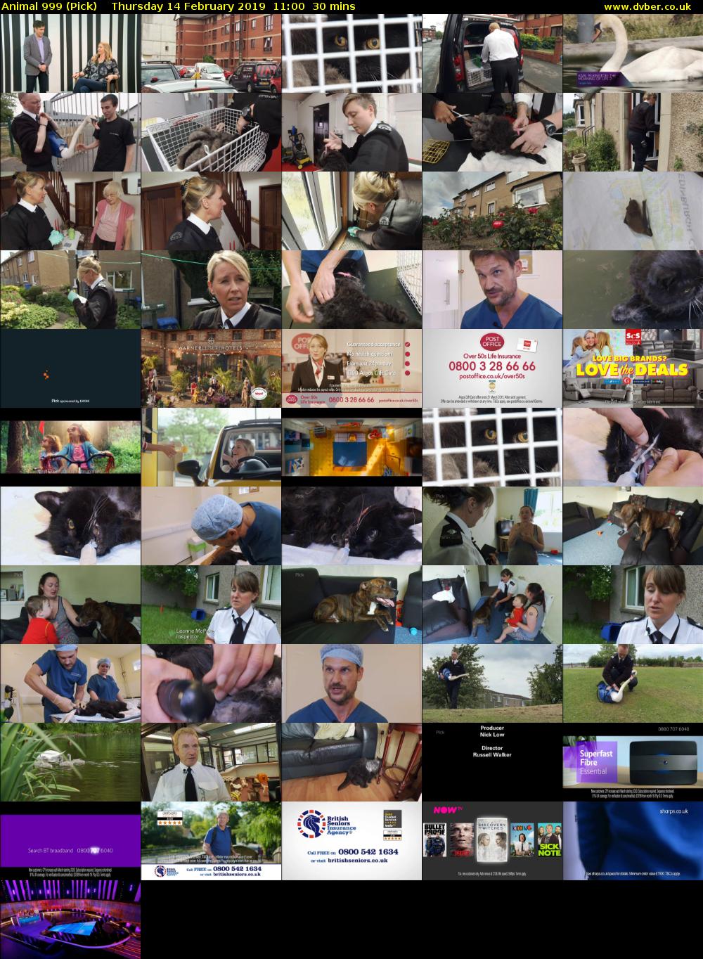 Animal 999 (Pick) Thursday 14 February 2019 11:00 - 11:30