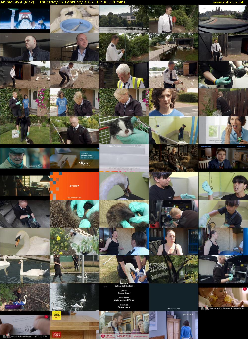 Animal 999 (Pick) Thursday 14 February 2019 11:30 - 12:00