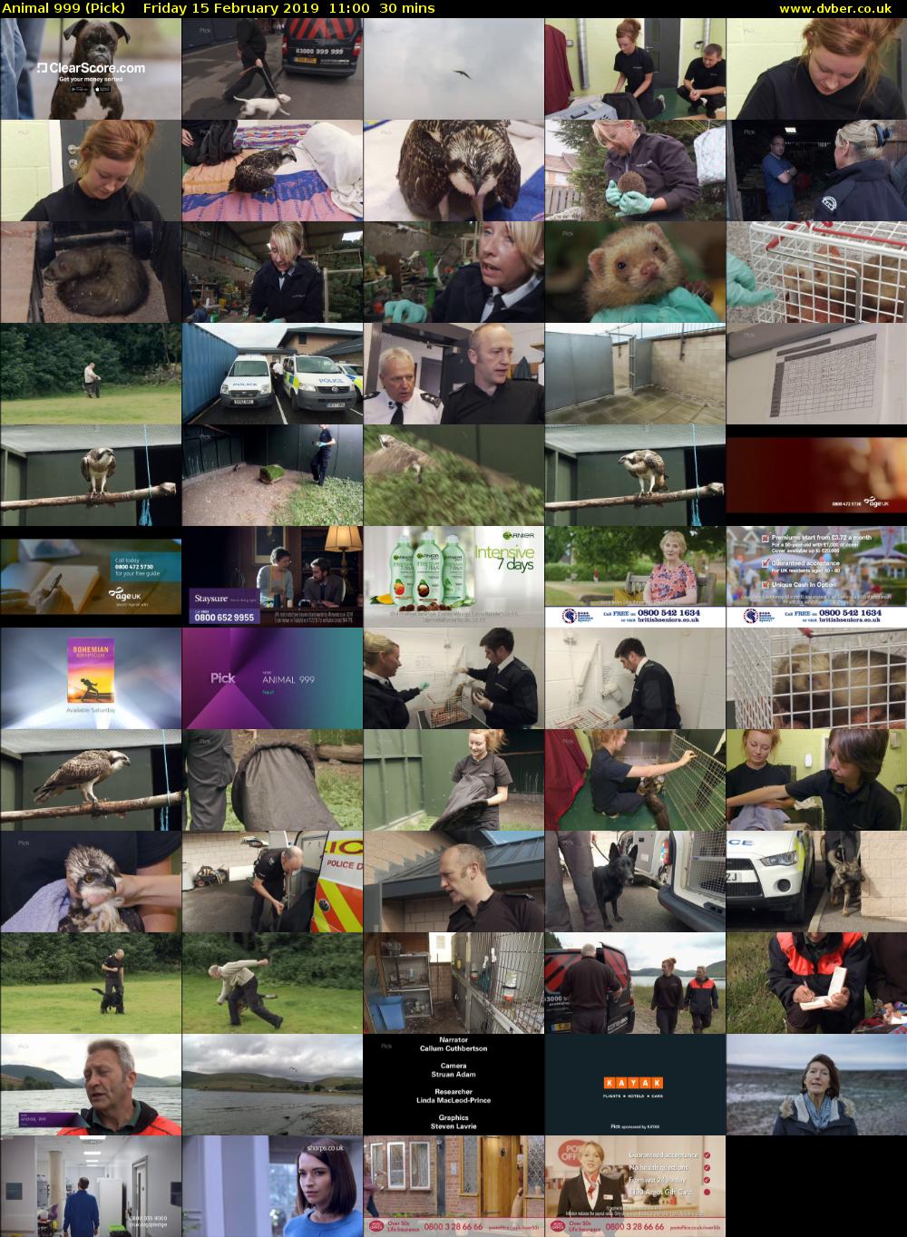 Animal 999 (Pick) Friday 15 February 2019 11:00 - 11:30