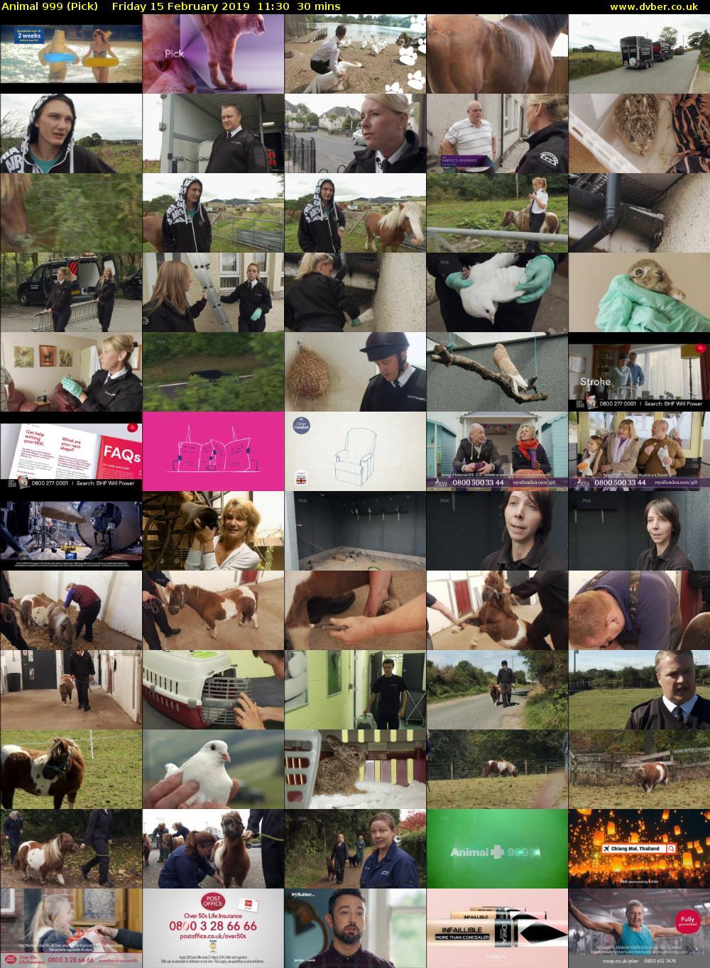 Animal 999 (Pick) Friday 15 February 2019 11:30 - 12:00