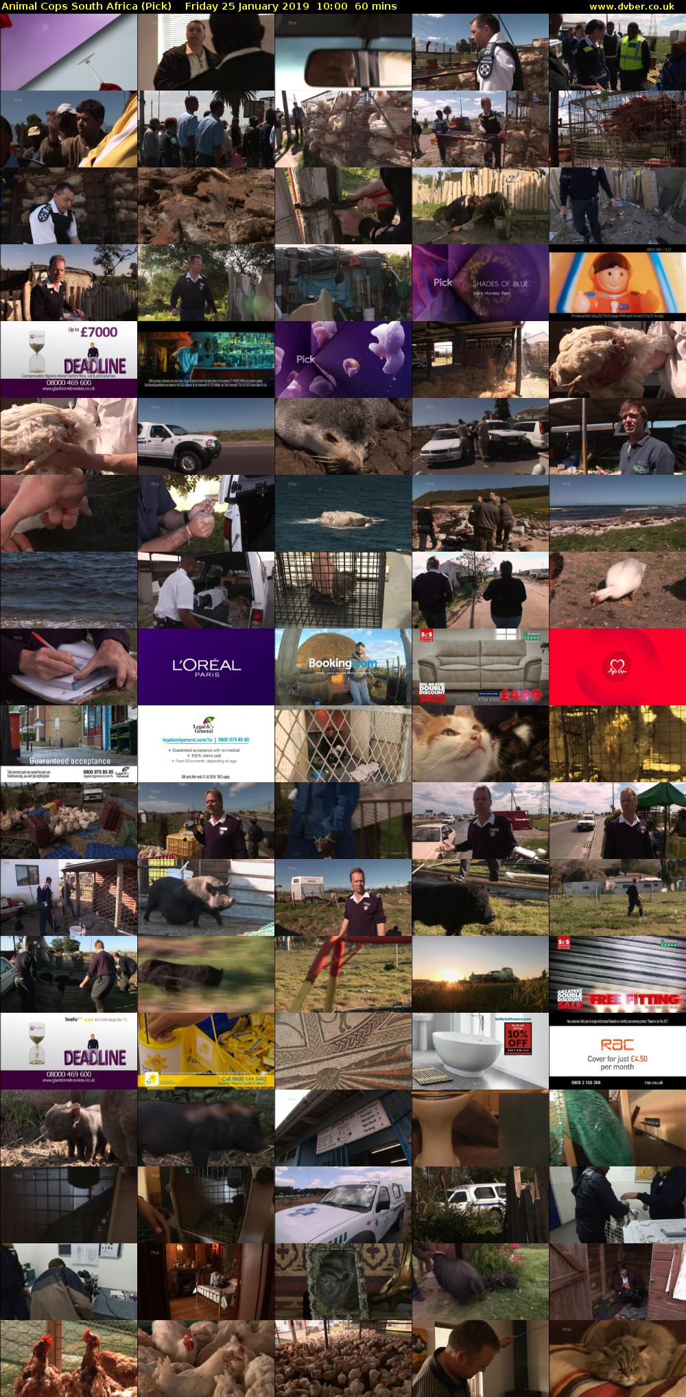 Animal Cops South Africa (Pick) Friday 25 January 2019 10:00 - 11:00