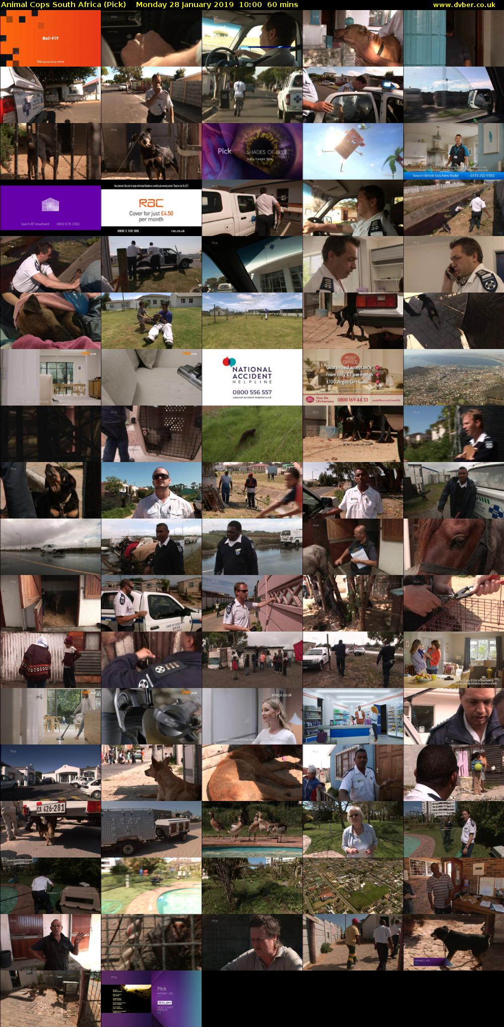 Animal Cops South Africa (Pick) Monday 28 January 2019 10:00 - 11:00