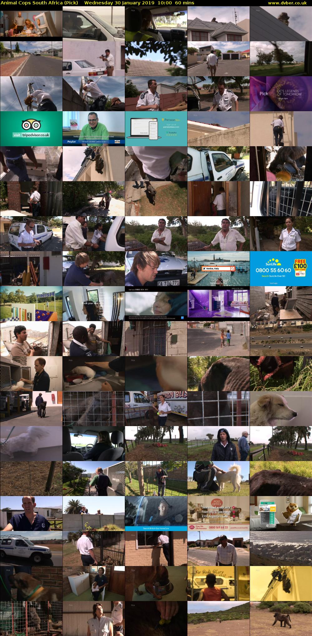 Animal Cops South Africa (Pick) Wednesday 30 January 2019 10:00 - 11:00