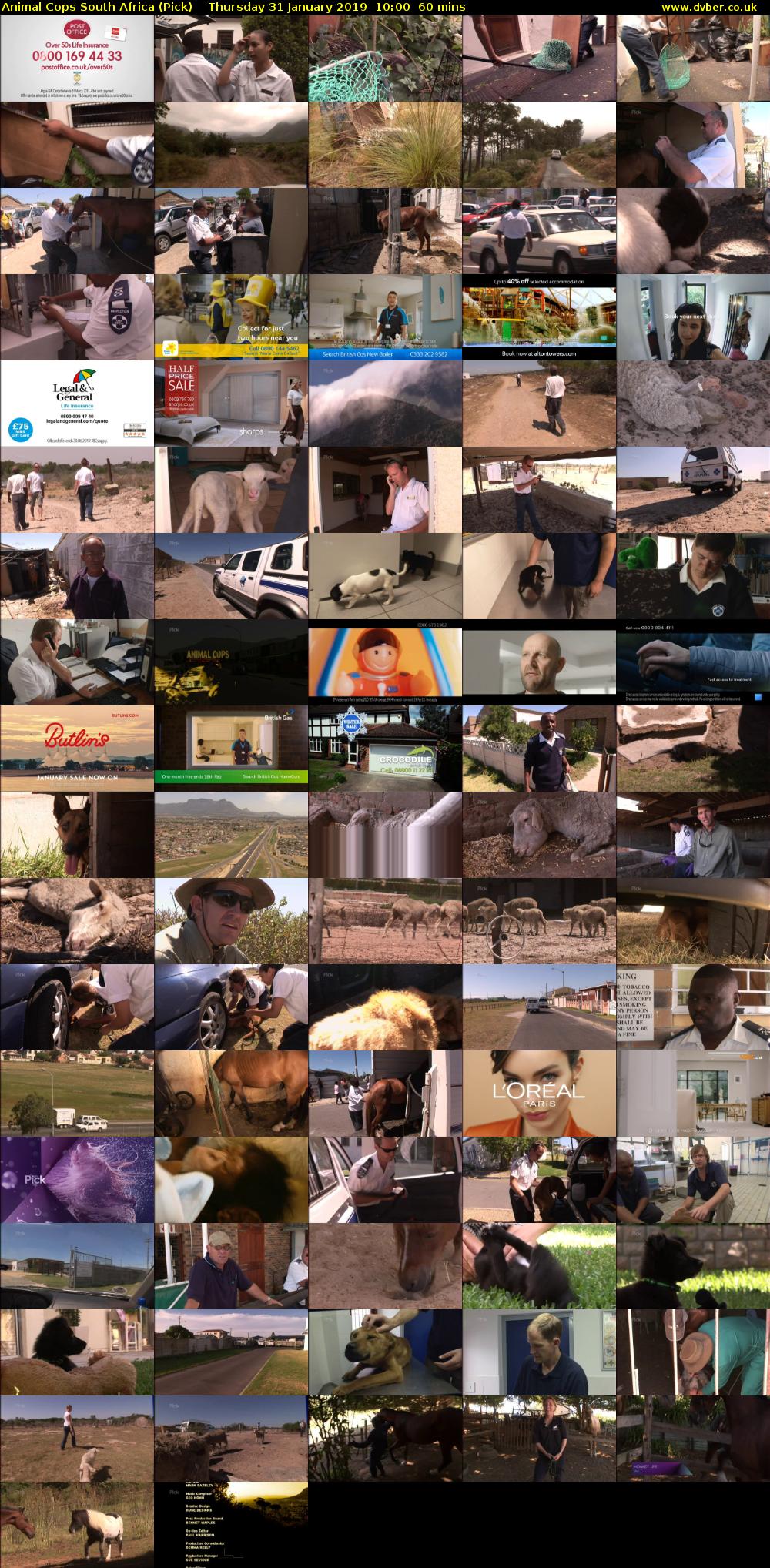 Animal Cops South Africa (Pick) Thursday 31 January 2019 10:00 - 11:00