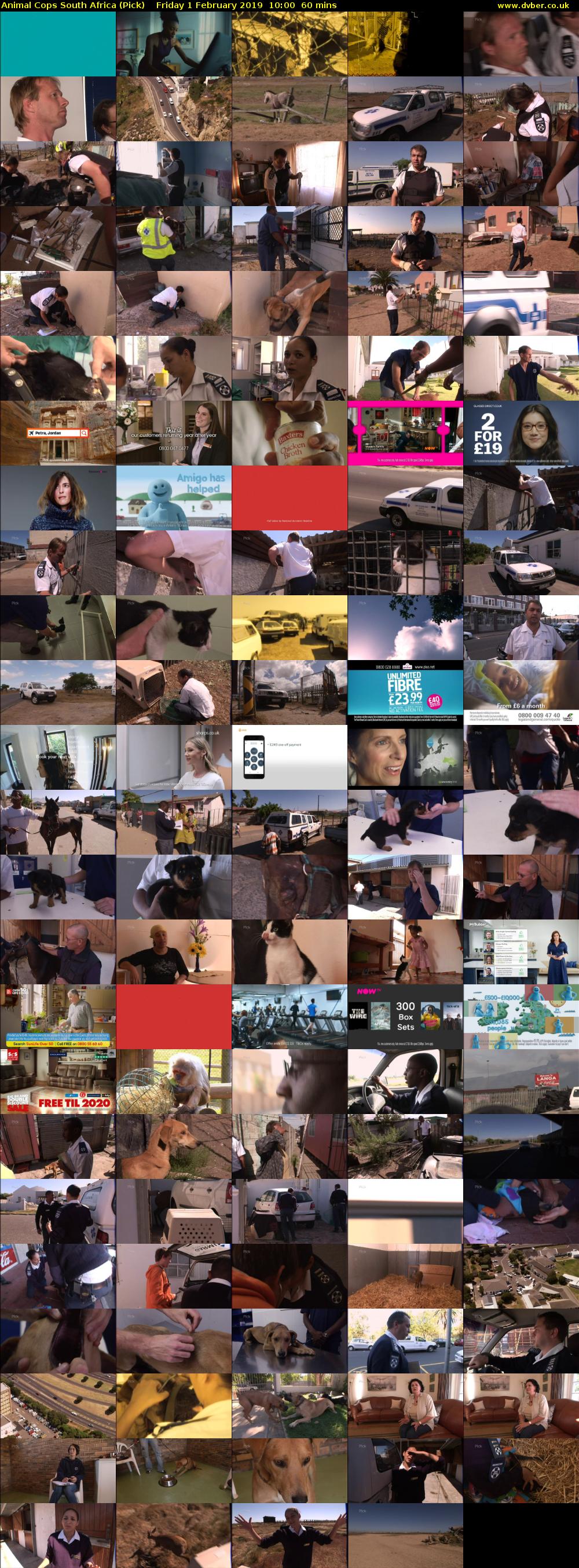 Animal Cops South Africa (Pick) Friday 1 February 2019 10:00 - 11:00