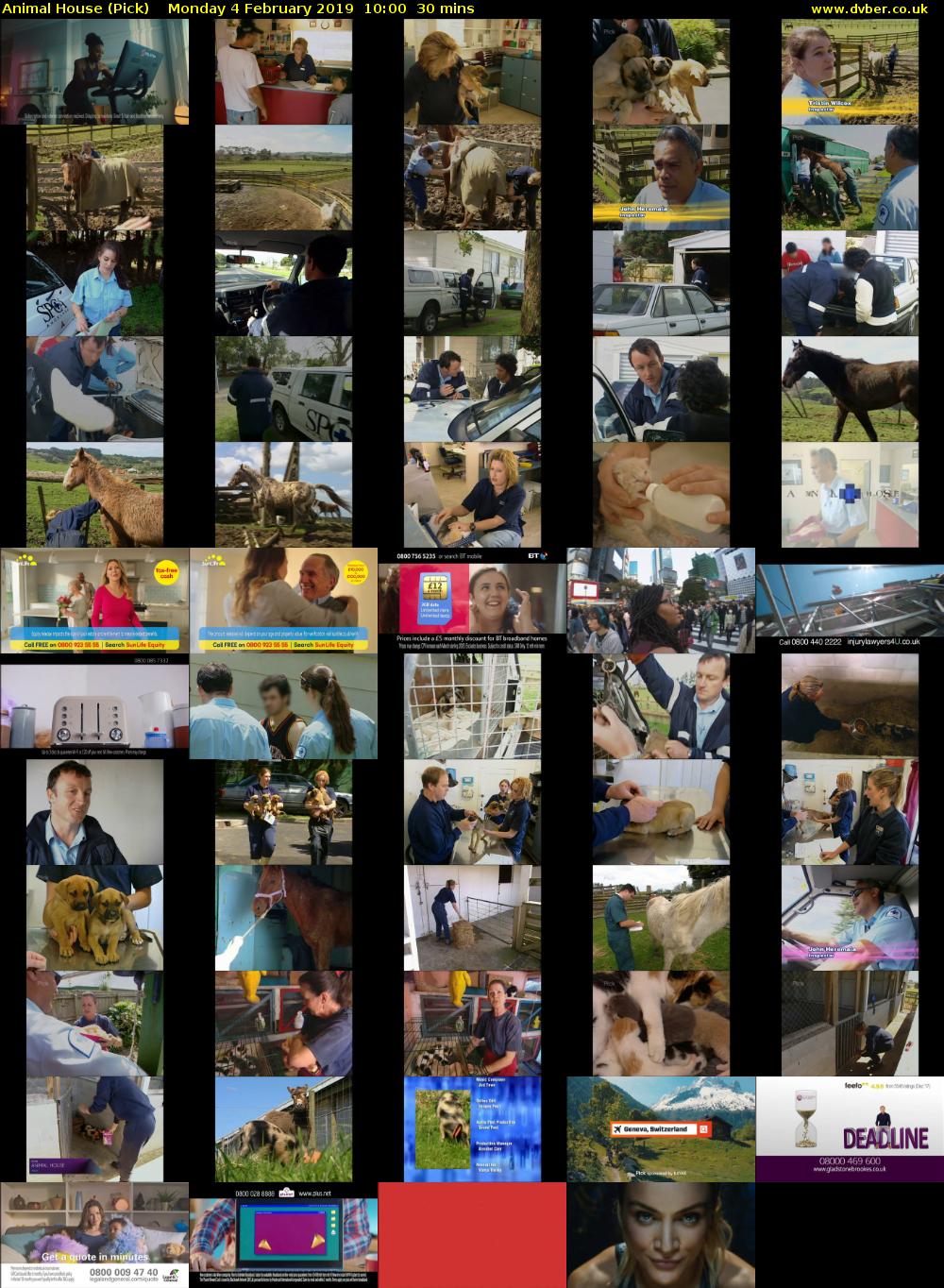 Animal House (Pick) Monday 4 February 2019 10:00 - 10:30