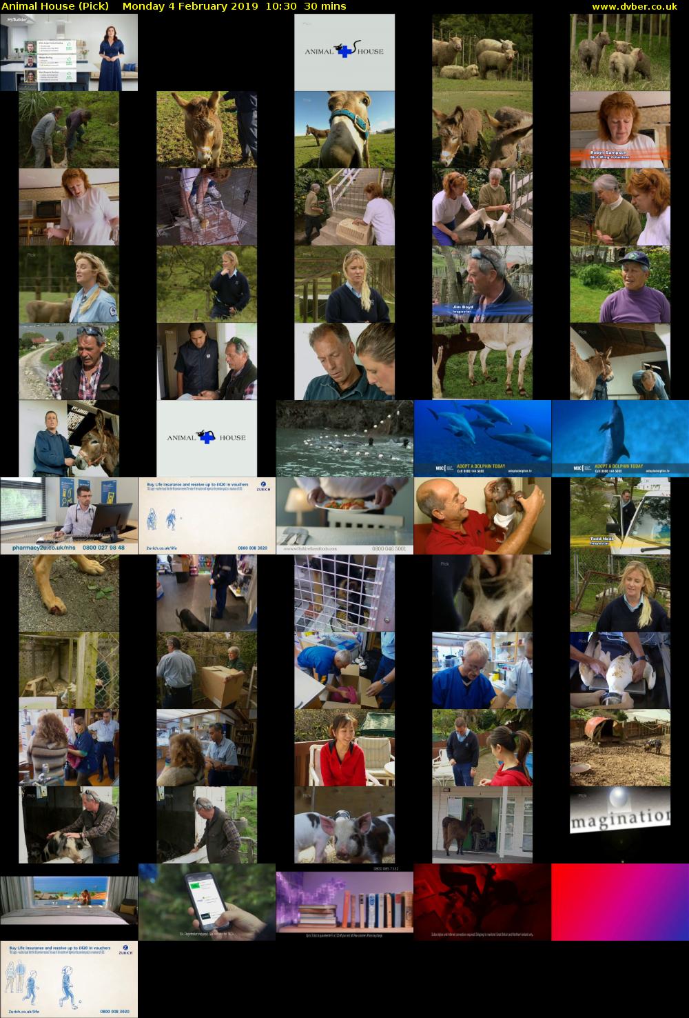 Animal House (Pick) Monday 4 February 2019 10:30 - 11:00